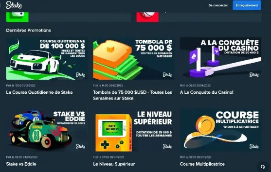 Un aperçu de casino stake